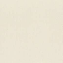 Обои Rasch Wall Textures XL vol.2 961904 Обои Rasch Wall Textures XL vol.2 961904