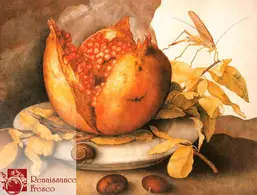 Renaissance Fresco 6005-A Renaissance Fresco 6005-A