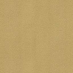 Обои Roberto Cavalli Roberto Cavalli 8 RC19017 Обои Roberto Cavalli Roberto Cavalli 8 RC19017