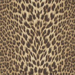 Обои Roberto Cavalli Roberto Cavalli 9 RC21041 Обои Roberto Cavalli Roberto Cavalli 9 RC21041