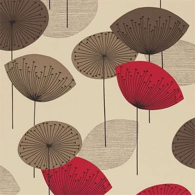 Sanderson 50's 210498