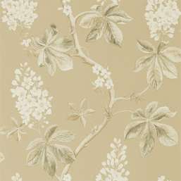 Обои Sanderson Woodland Walk 215711 Обои Sanderson Woodland Walk 215711