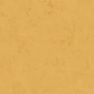 Фото Обои Shinhan Wallcoverings Focus 88503-2 - 1 Обои Shinhan Wallcoverings Focus 88503-2 - фото 1