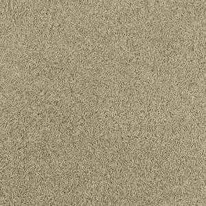 Фото Жидкие обои Silk Plaster Форт 512 - 1 Жидкие обои Silk Plaster Форт 512 - фото 1