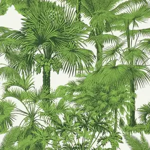 Фото Обои Thibaut Tropics Palm Botanical T10103 - 1 Обои Thibaut Tropics Palm Botanical T10103 - фото 1