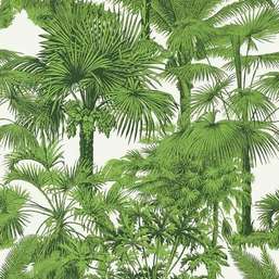 Обои Thibaut Tropics Palm Botanical T10103 Обои Thibaut Tropics Palm Botanical T10103
