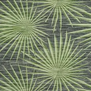 Фото Обои Thibaut Tropics Palm Frond T10143 - 1 Обои Thibaut Tropics Palm Frond T10143 - фото 1