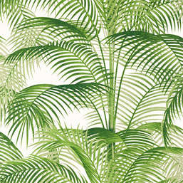 Обои Thibaut Palm Grove T13938 Обои Thibaut Palm Grove T13938
