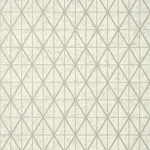 Фото Обои Thibaut Modern Resource T447 - 1 Обои Thibaut Modern Resource T447 - фото 1