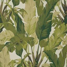 Обои Thibaut Tropics Travelers Palm T10131 Обои Thibaut Tropics Travelers Palm T10131