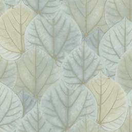 Обои York Candice Olson Modern Nature II OS4241 Обои York Candice Olson Modern Nature II OS4241