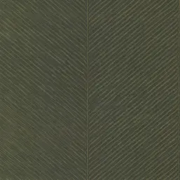 York Tropics Resource Library TC2693 York Tropics Resource Library TC2693