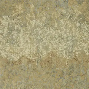 Фото Обои Zoffany Kempshott 312651 - 1 Обои Zoffany Kempshott 312651 - фото 1
