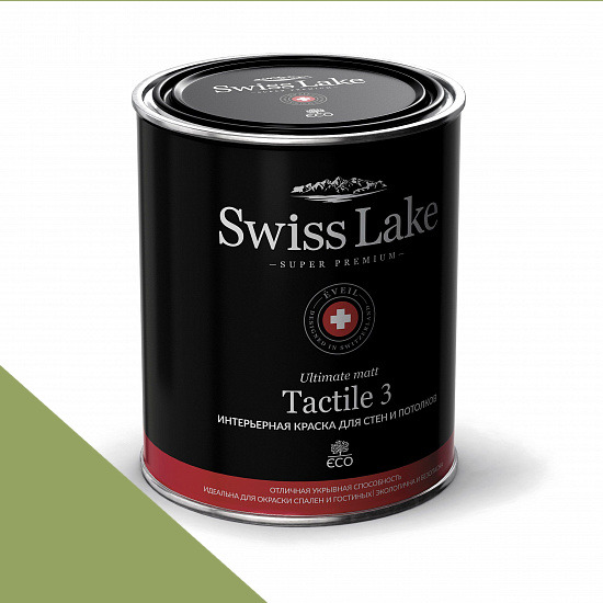  Swiss Lake  Tactile 3 0,9 . green fluorite sl-2536 -  1
