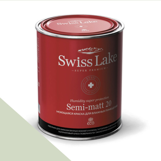 Swiss Lake  Semi-matt 20 0,9 . prasiolite sl-2631 -  1