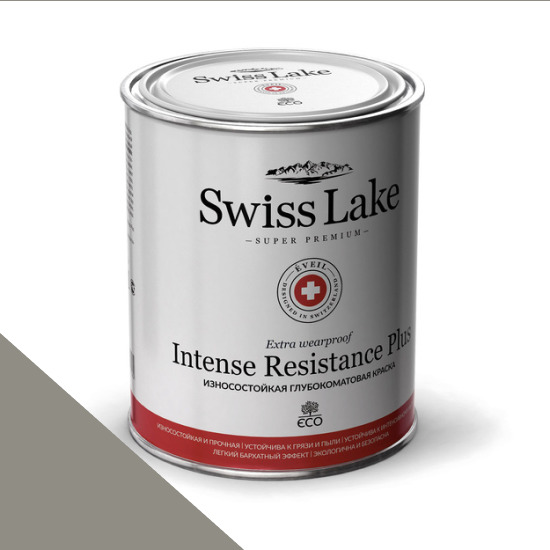  Swiss Lake  Intense Resistance Plus Extra Wearproof 0,9 . rare gray sl-2867 -  1