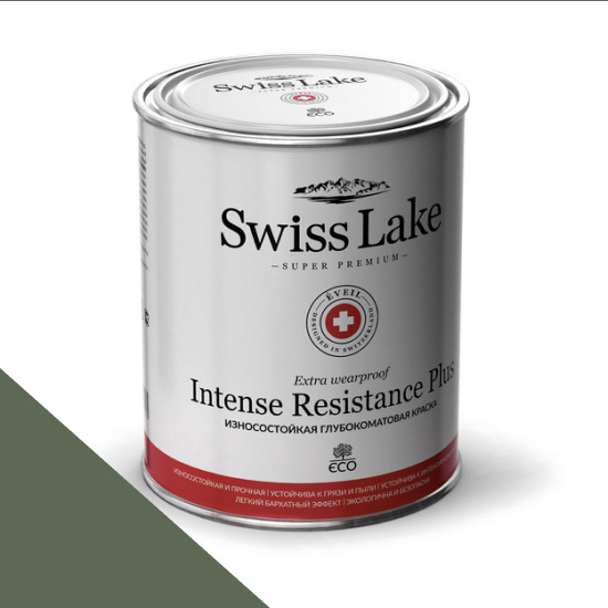  Swiss Lake  Intense Resistance Plus Extra Wearproof 2,7 . painted turtle sl-2698 -  1