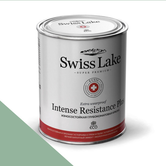  Swiss Lake  Intense Resistance Plus Extra Wearproof 9 . semi-gloss sl-2651 -  1