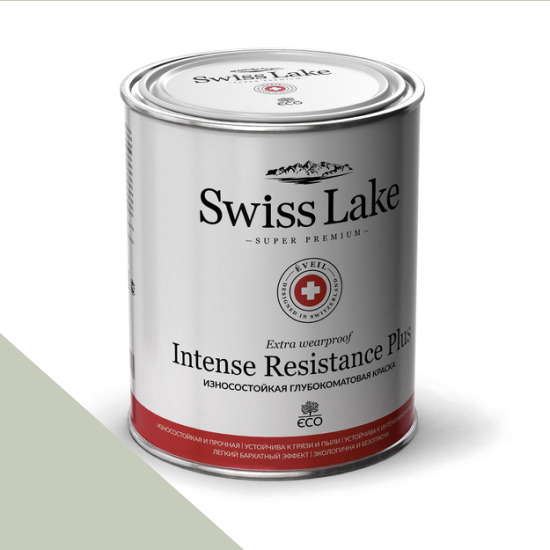  Swiss Lake  Intense Resistance Plus Extra Wearproof 9 . dry mint sl-2624 -  1
