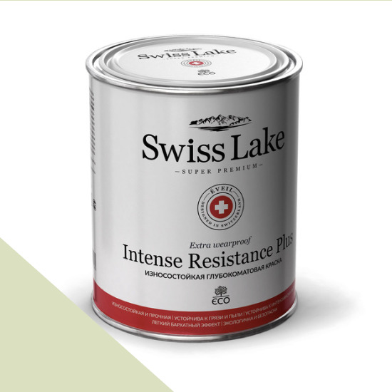  Swiss Lake  Intense Resistance Plus Extra Wearproof 9 . plain and simple sl-2589 -  1