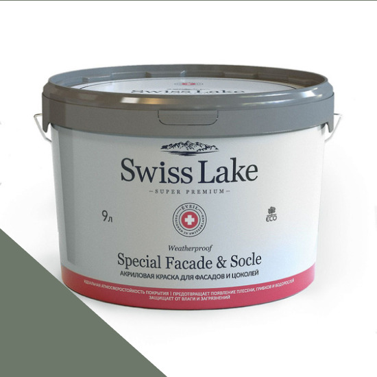  Swiss Lake  Special Faade & Socle (   )  9. four leaf clover sl-2643 -  1