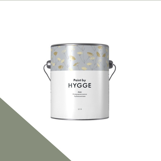  HYGGE Paint  Aster 2,7 . 214     ALOE TIP -  1