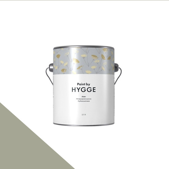  HYGGE Paint  Aster 2,7 . 163    GREEN SPRING -  1