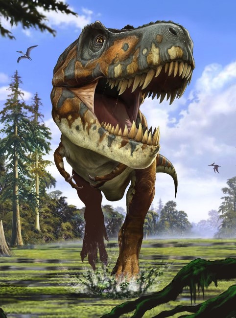  Komar 184x248 XXL2-532 Tyrannosaurus -  1