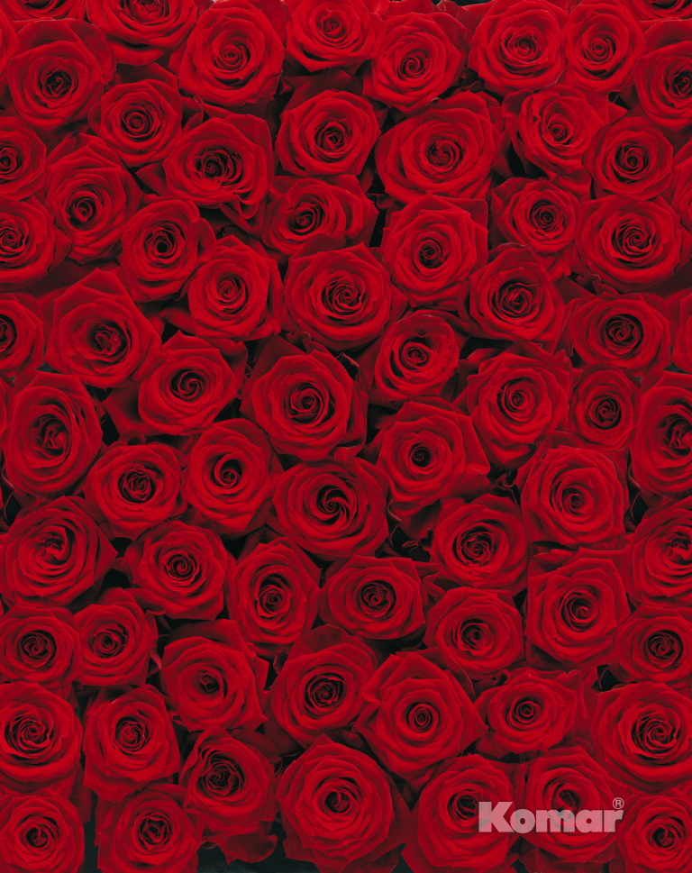  Komar 194x270 4-077 Roses -  1