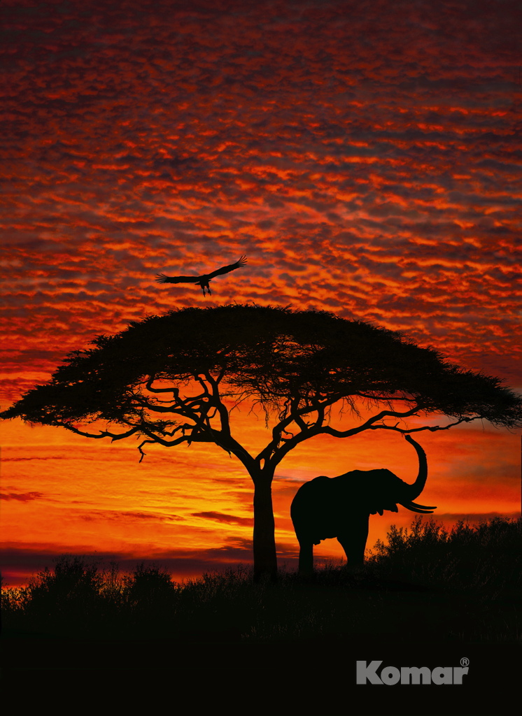  Komar 194x270 4-501 African Sunset -  1