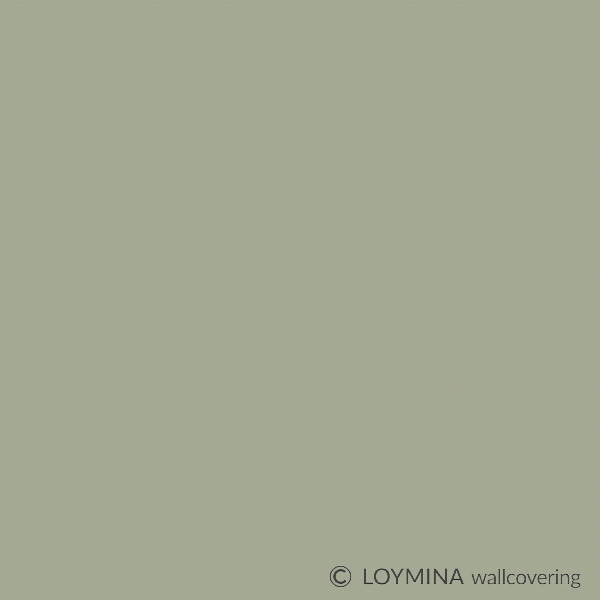  Loymina Lac Deco Lac2 005 -  1
