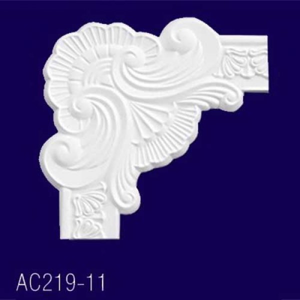      AC219-11 -  1