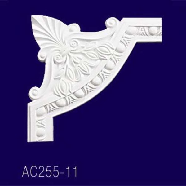      AC255-11 -  1