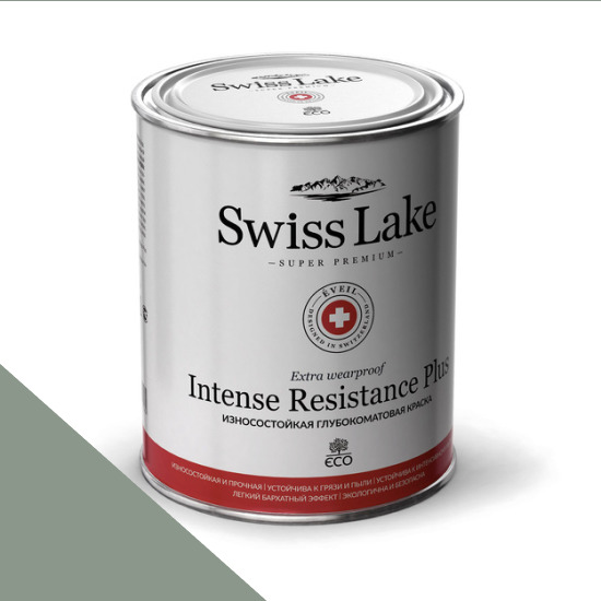  Swiss Lake  Intense Resistance Plus Extra Wearproof 0,9 . silver green sl-2641