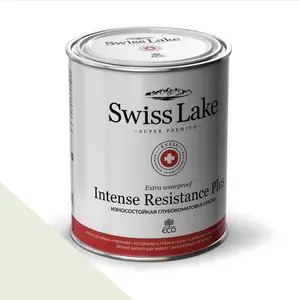  Swiss Lake  Intense Resistance Plus Extra Wearproof 9 . iced mint sl-2452 -  1