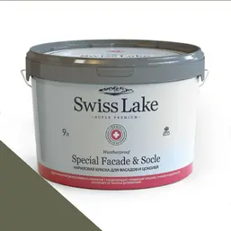  Swiss Lake  Special Faade & Socle (   )  9. carrot tops sl-2567
