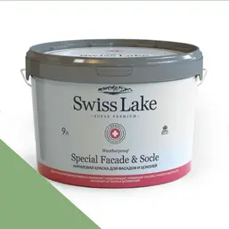  Swiss Lake  Special Faade & Socle (   )  9. wasabi sl-2704