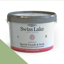  Swiss Lake  Special Faade & Socle (   )  9. mint tea sl-2493