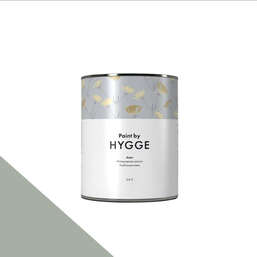  HYGGE Paint  Aster 0,9 . 221    CITADEL GREY