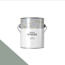  HYGGE Paint  Aster 2,7 . 269    Ragweed Leaf