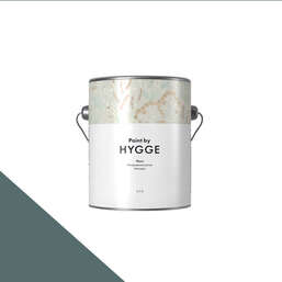  HYGGE Paint  Fleurs 0,9 . 228    GUNMETAL