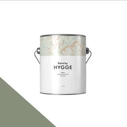 HYGGE Paint  Fleurs 0,9 . 214     ALOE TIP