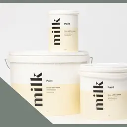 MILQ Paint  Home & Office Intense 2.7 . NC36-0806 Mountain Lizard