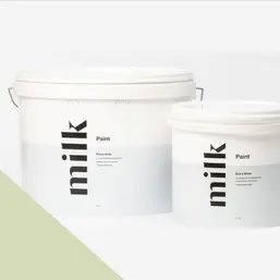  MILQ Paint  Extra White   9 . NC37-0820 Minty Fresh