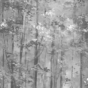 Обои 1838 Aurora 1804-118-05 Glade Jet - фото 1