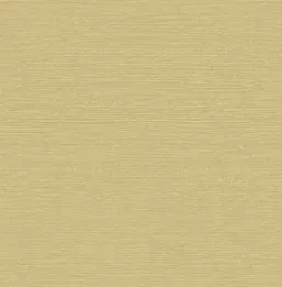  1838 Aurora 1804-122-06 Raffia Mustard