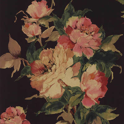 Обои 1838 Camellia 1703-108-06 Madama Butterfly Ebony