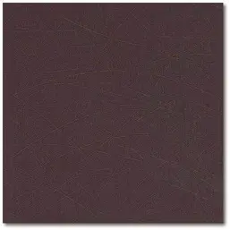  Marburg Colani Visions 53309