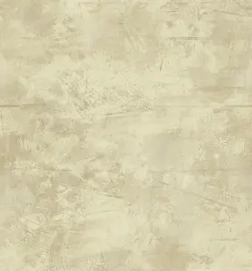  KT Exclusive Renaissance rn62007 -  1