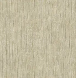  KT Exclusive Renaissance rn62100